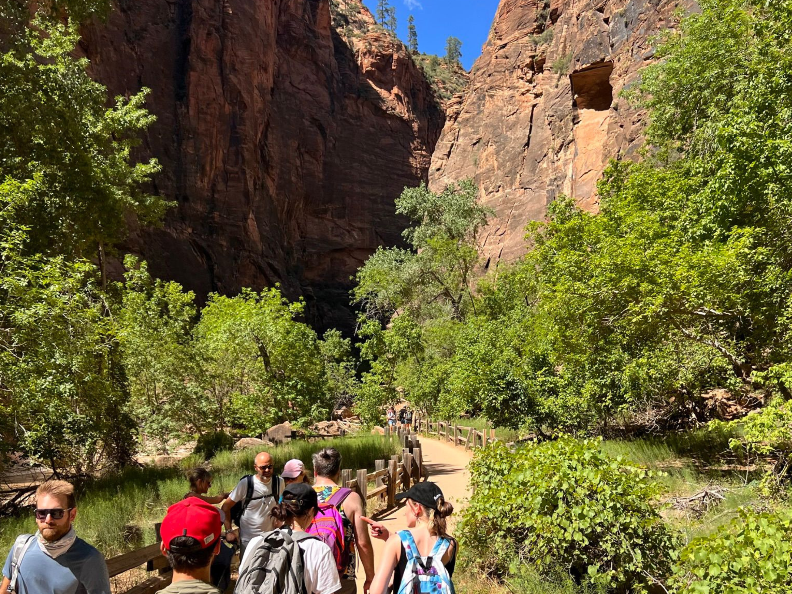 EduConnect study abroad